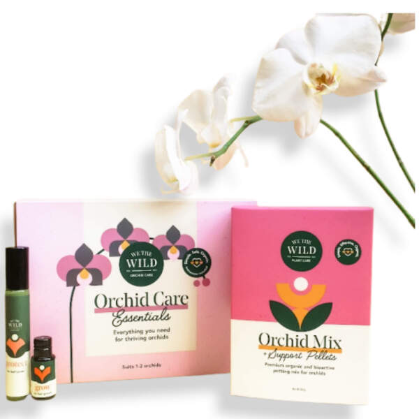Orchid Care pack